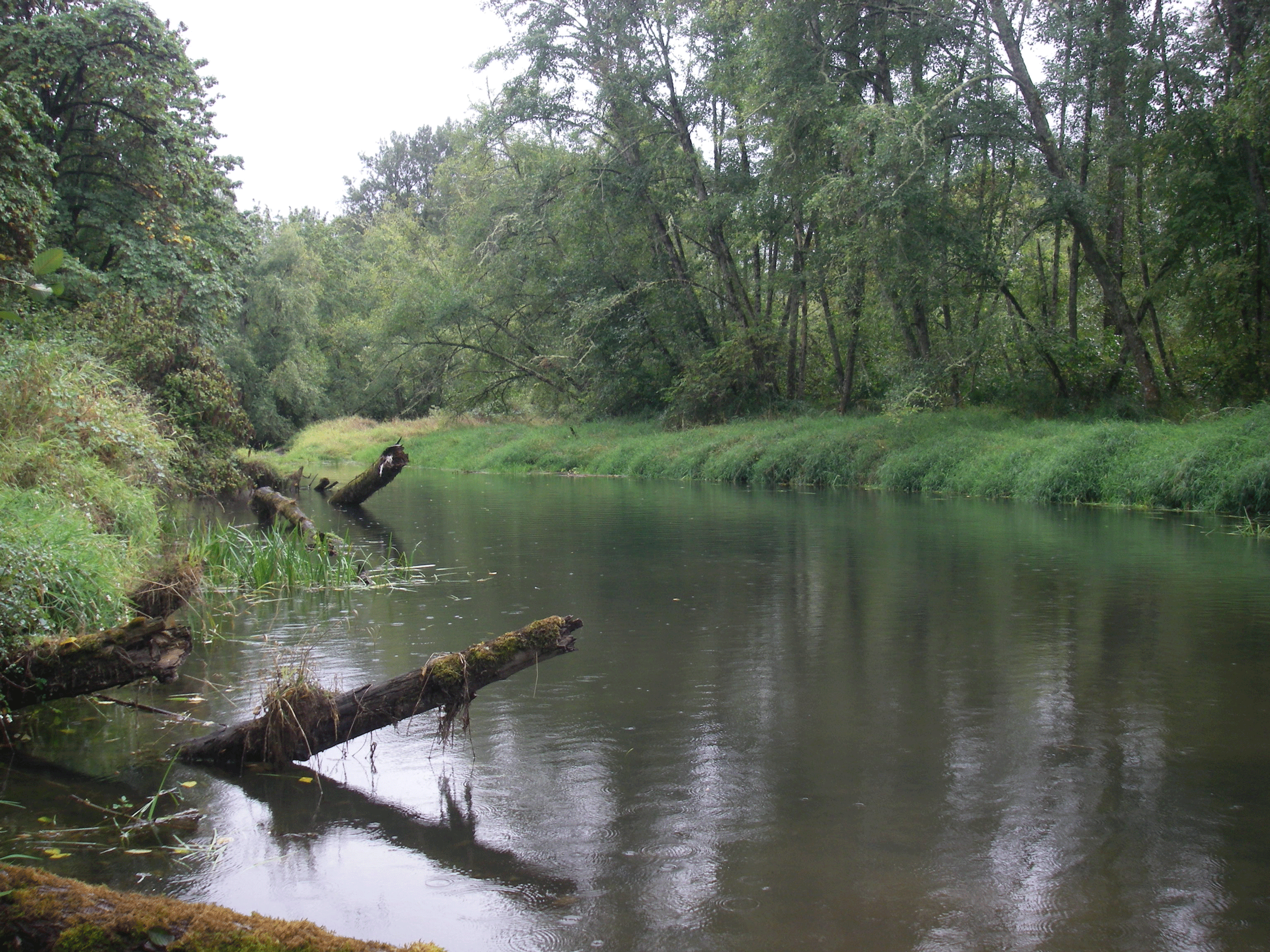 chub pond