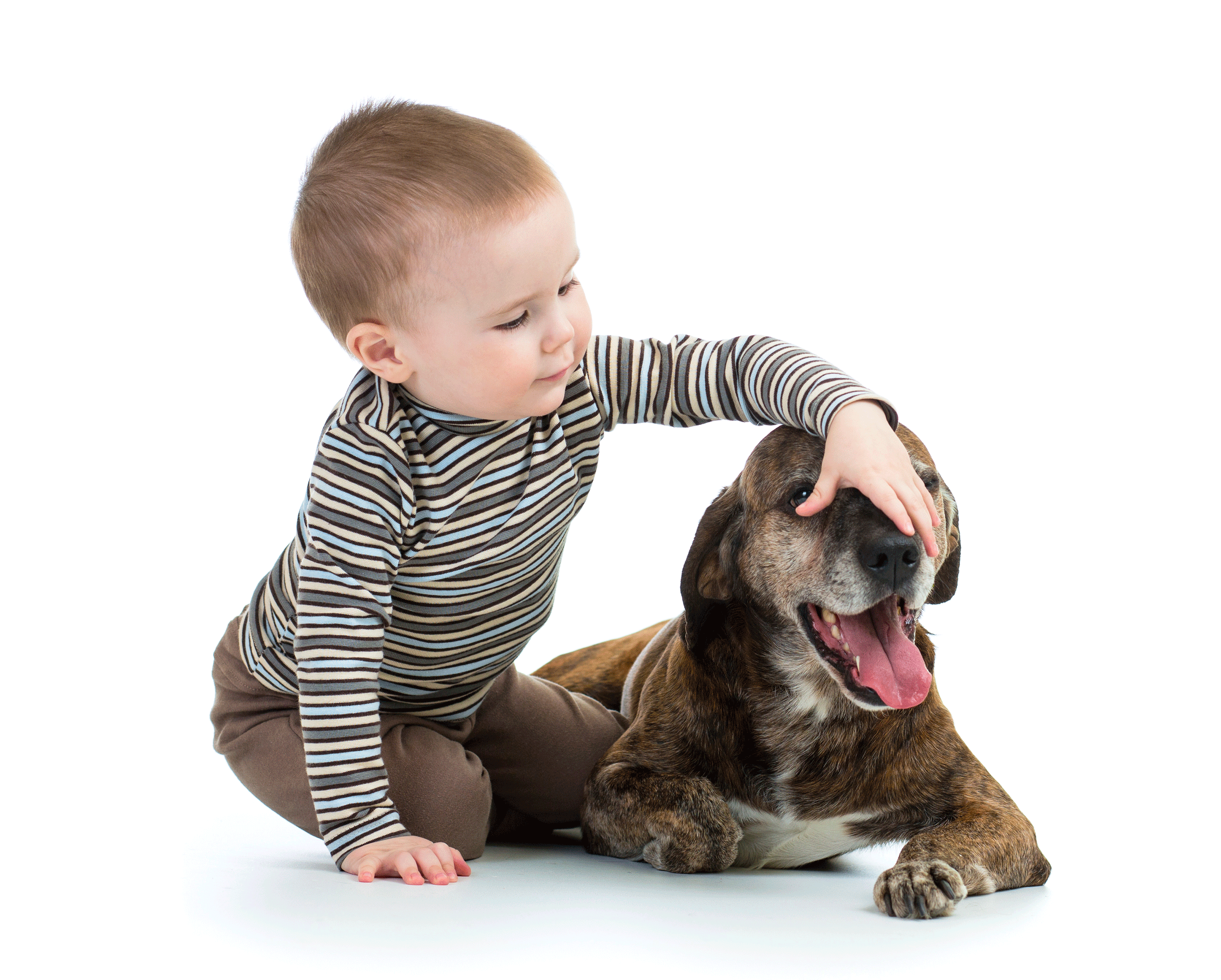 toddler playing with dog