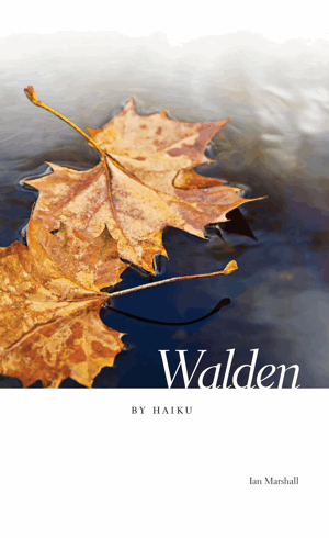 haiku poems for kids about nature. makeup haiku poems nature in