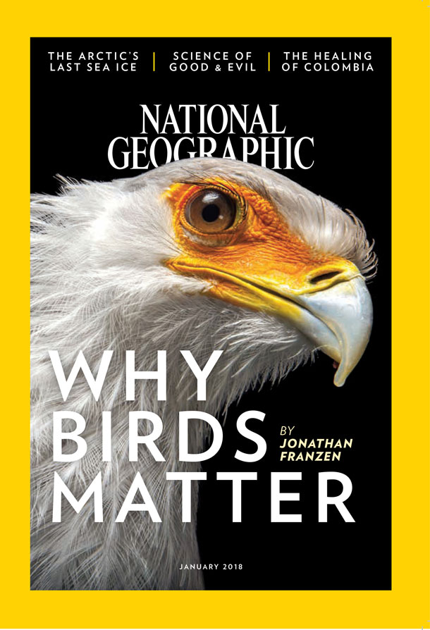 There is No Such Thing as a Blue Bird – National Geographic Education Blog