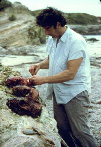 Ray Bandar's Bone Palace