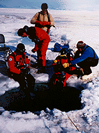 Photo: Ice Divers