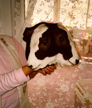 Photo: Two-headed Calf